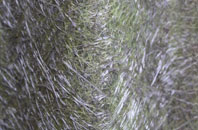 Crofts Of Dipple fibreglass roof work